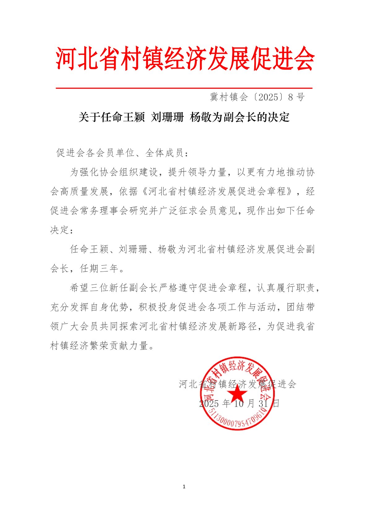 关于任命副会长的决定.jpg